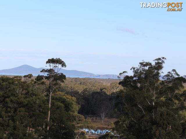 1 The Knoll TALLWOODS VILLAGE NSW 2430