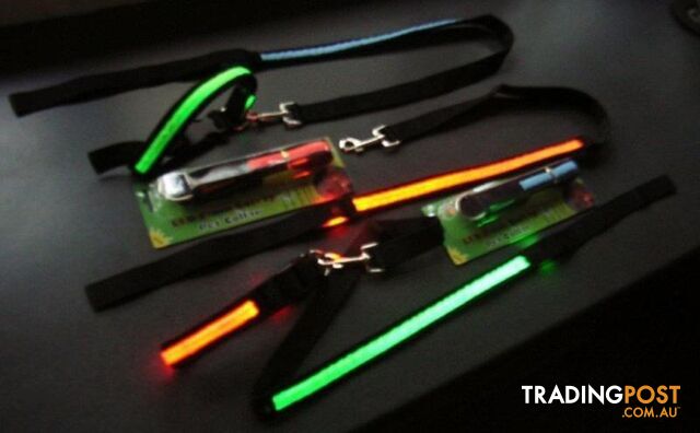 Dog collar or leash - photo 3 of 3