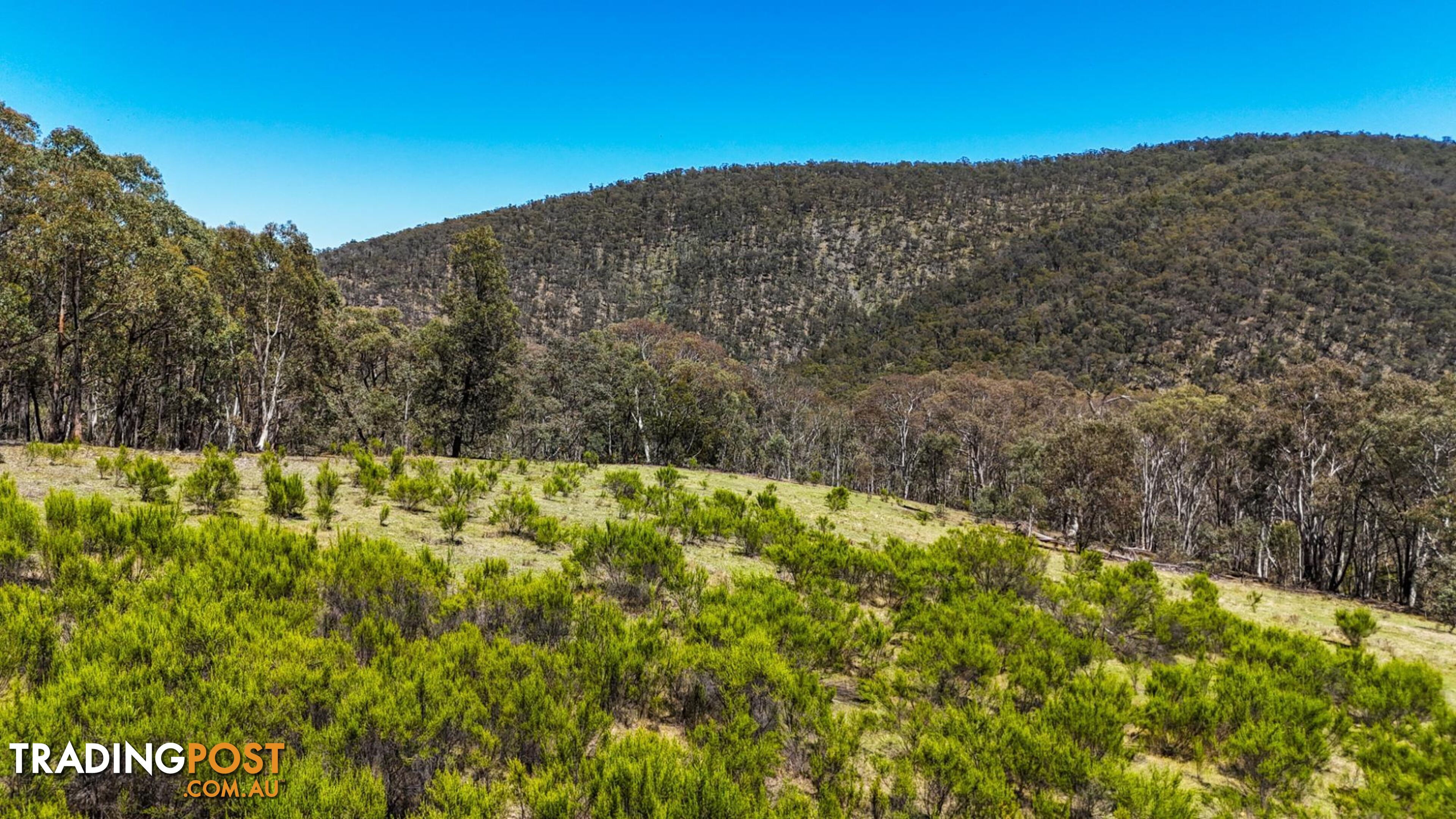 94 Oakey Forest Road MARRANGAROO NSW 2790