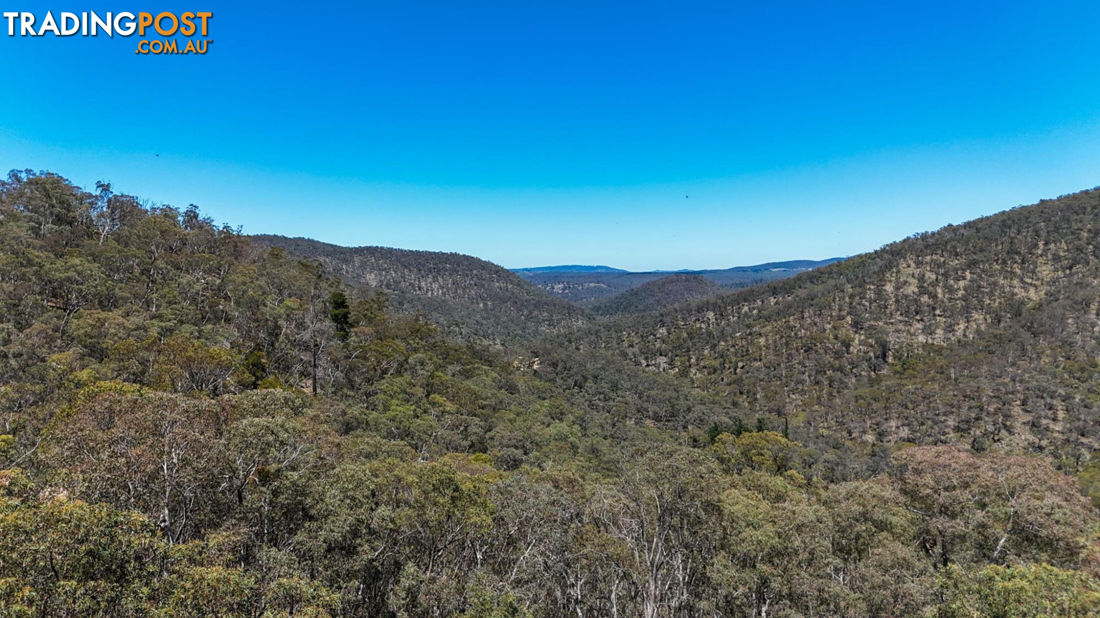 94 Oakey Forest Road MARRANGAROO NSW 2790