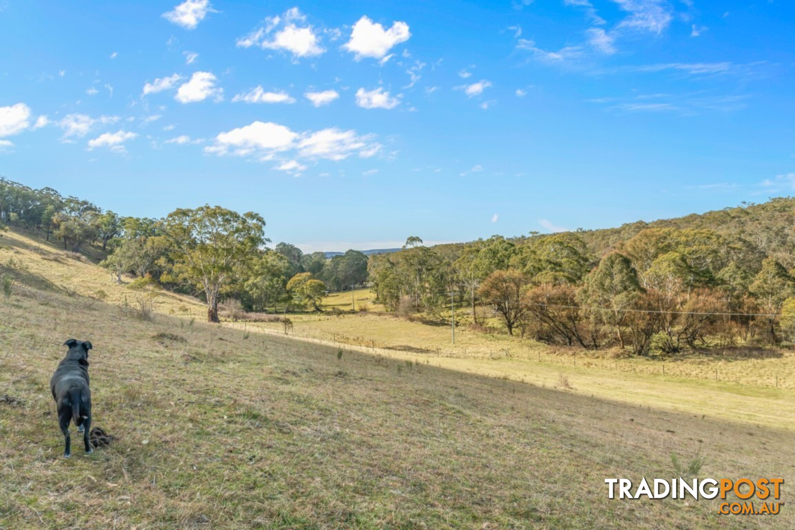 166 Williwa Creek Road PORTLAND NSW 2847