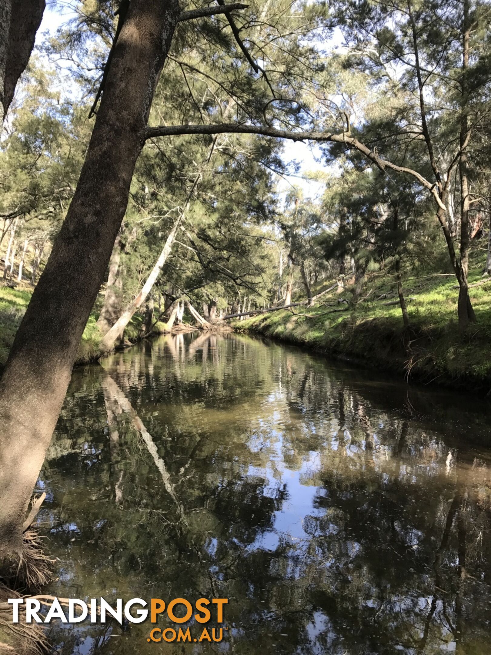 Lot 4 Upper Turon Road CAPERTEE NSW 2846