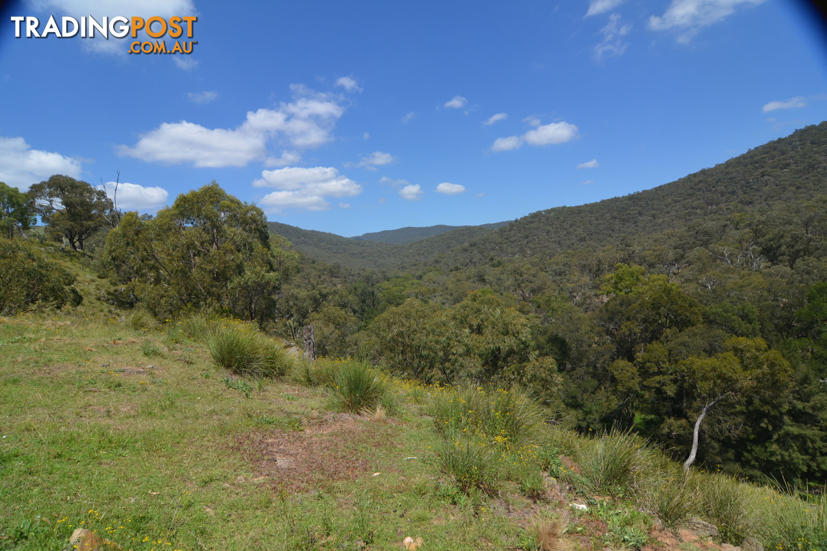 Lot 4 Upper Turon Road CAPERTEE NSW 2846