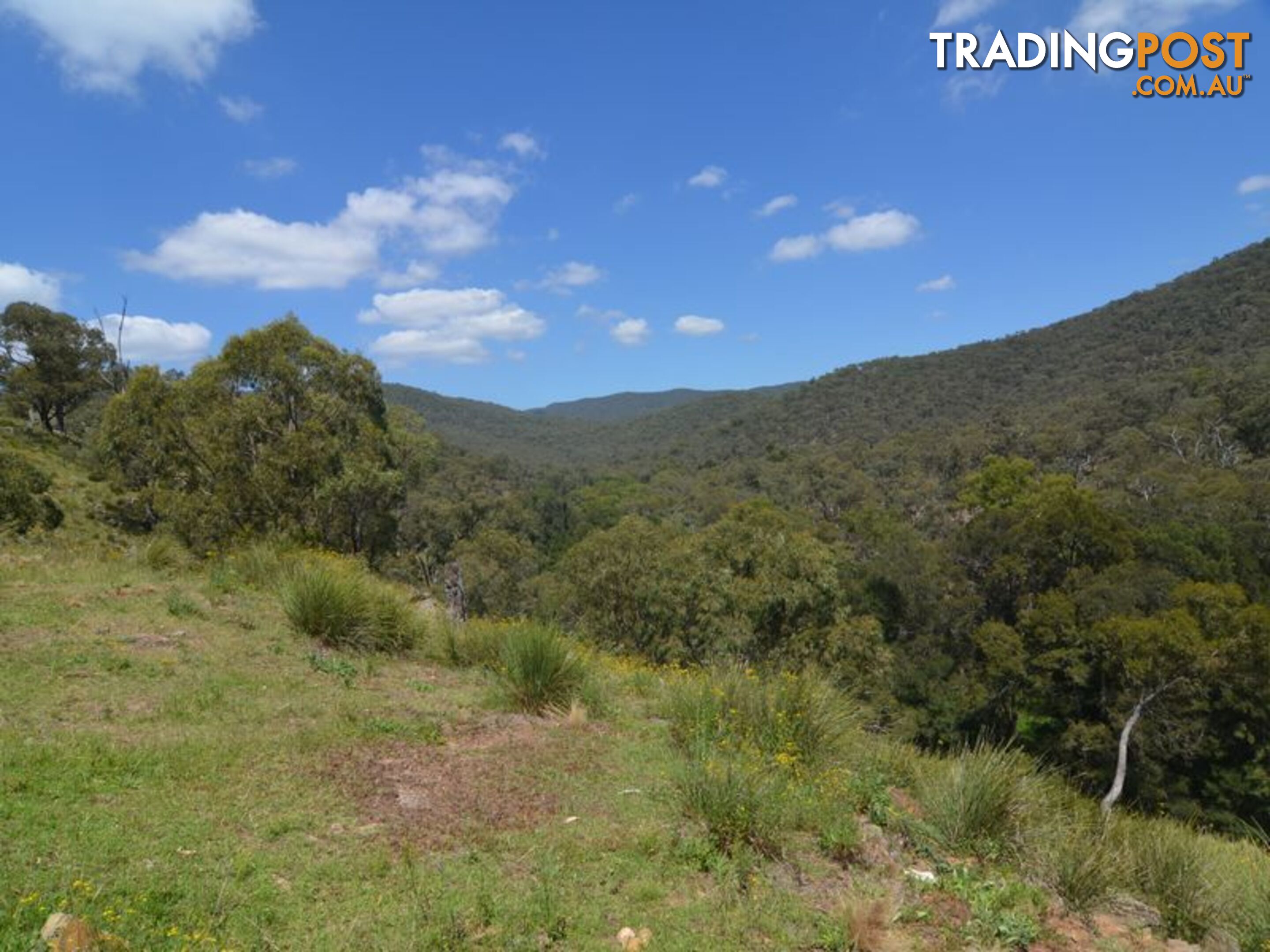 Lot 4 Upper Turon Road CAPERTEE NSW 2846