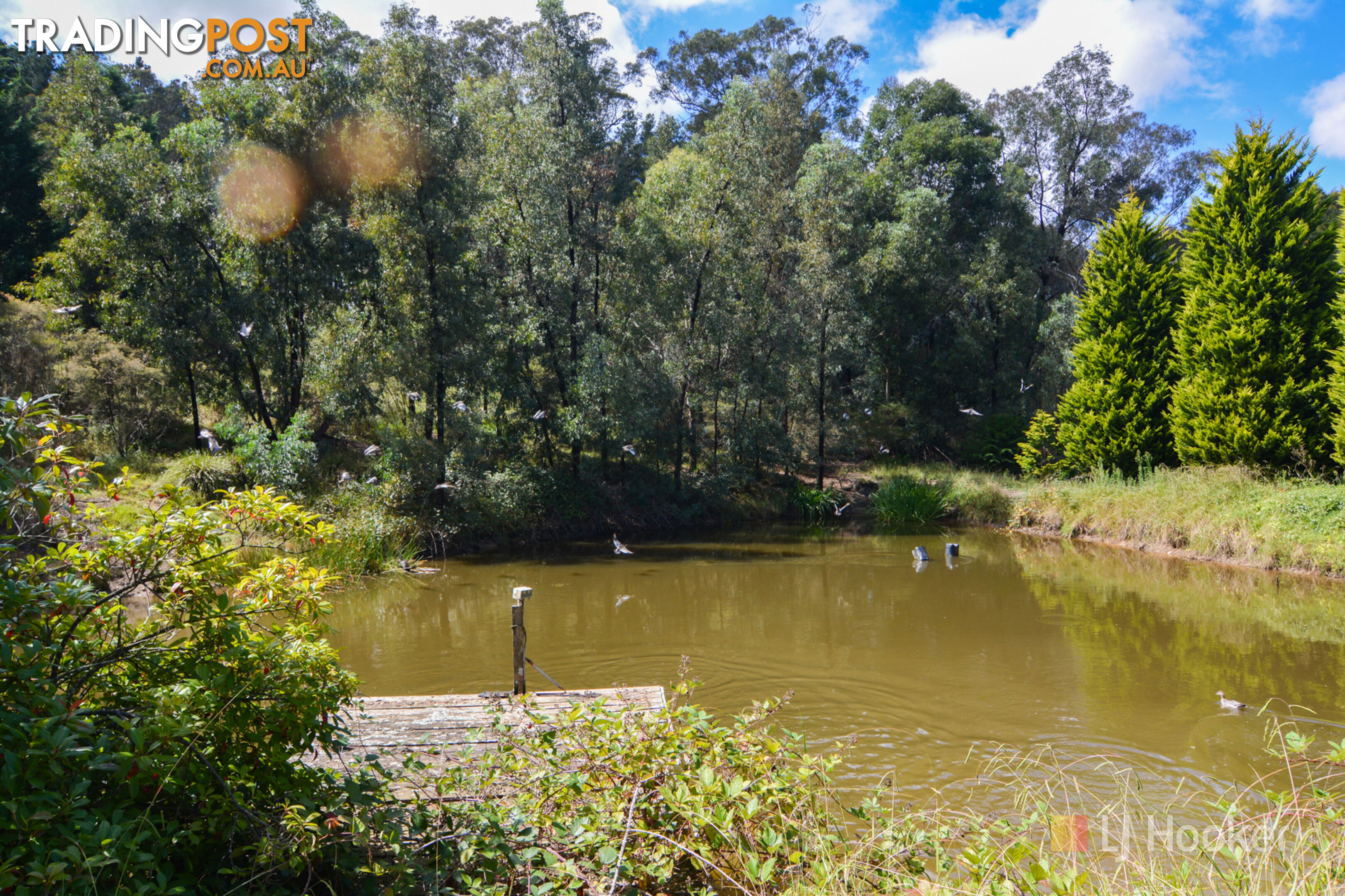 207 Baaners Lane LITTLE HARTLEY NSW 2790