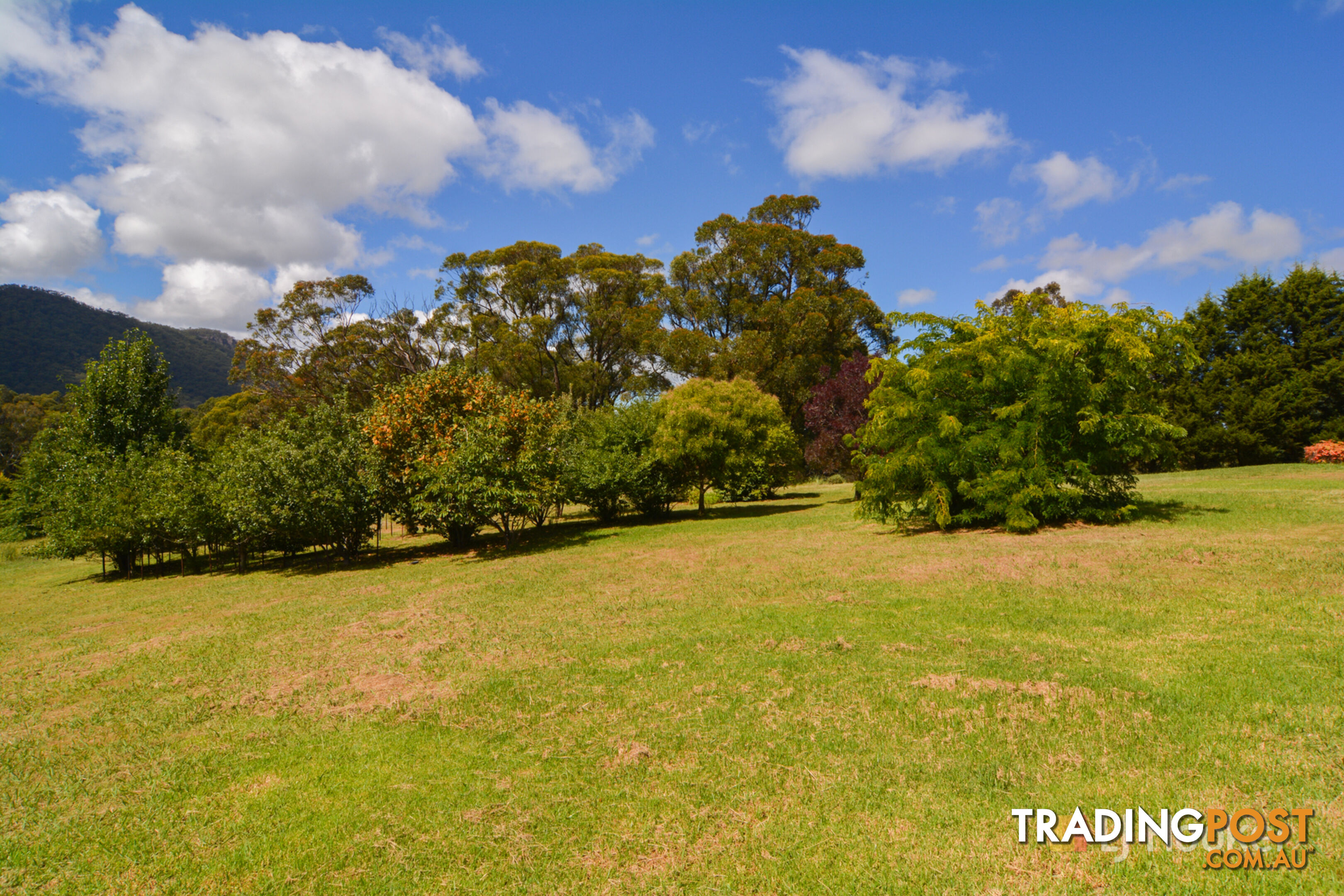 207 Baaners Lane LITTLE HARTLEY NSW 2790