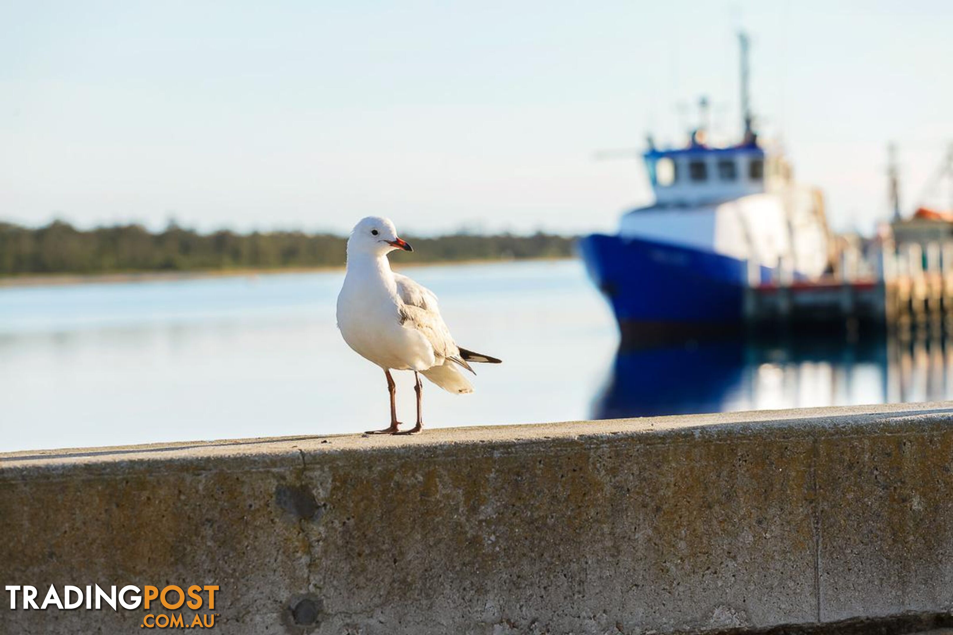 LAKES ENTRANCE VIC 3909