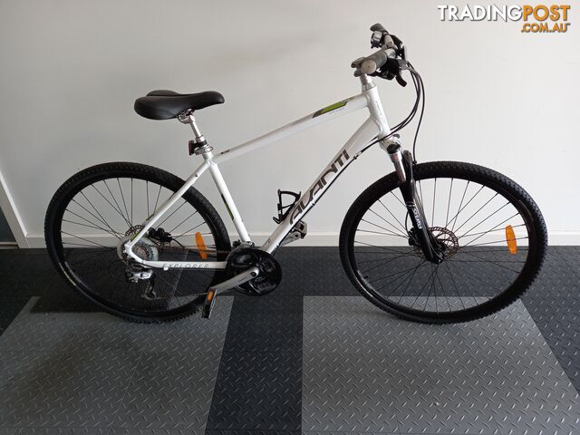 Avanti Mountain Bike