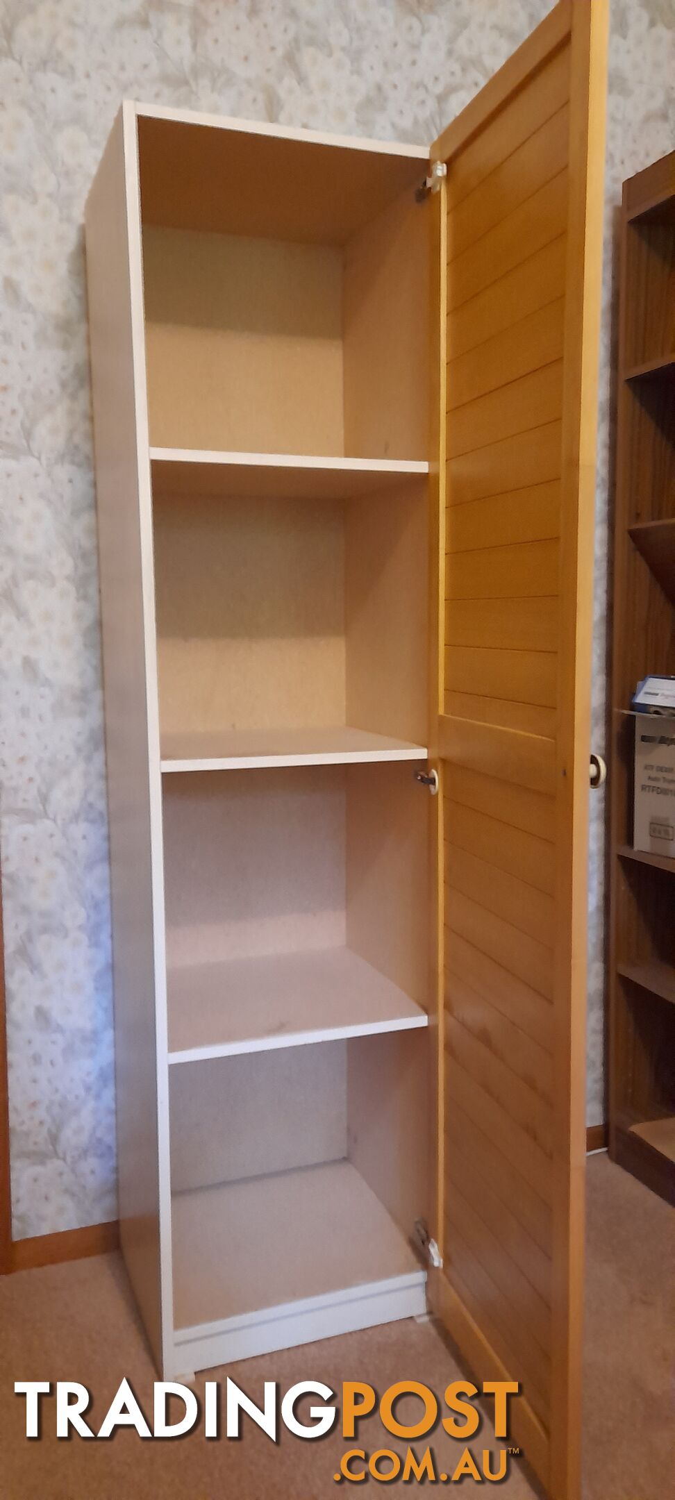 Laundry/garage cupboard