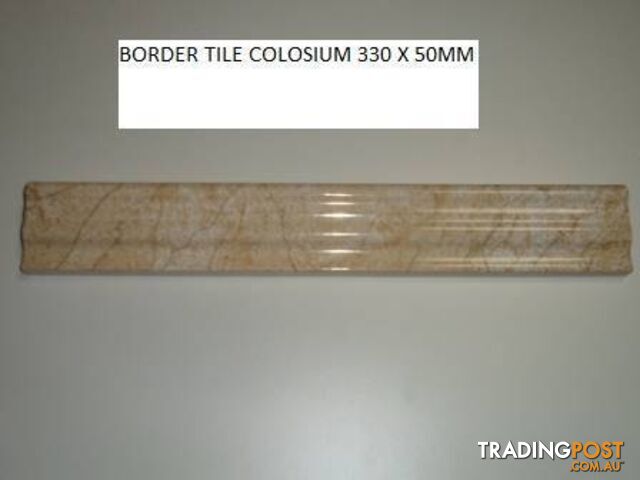 BORDER TILE COLOSIUM 330 X 50 PLENTY OF OTHERS
