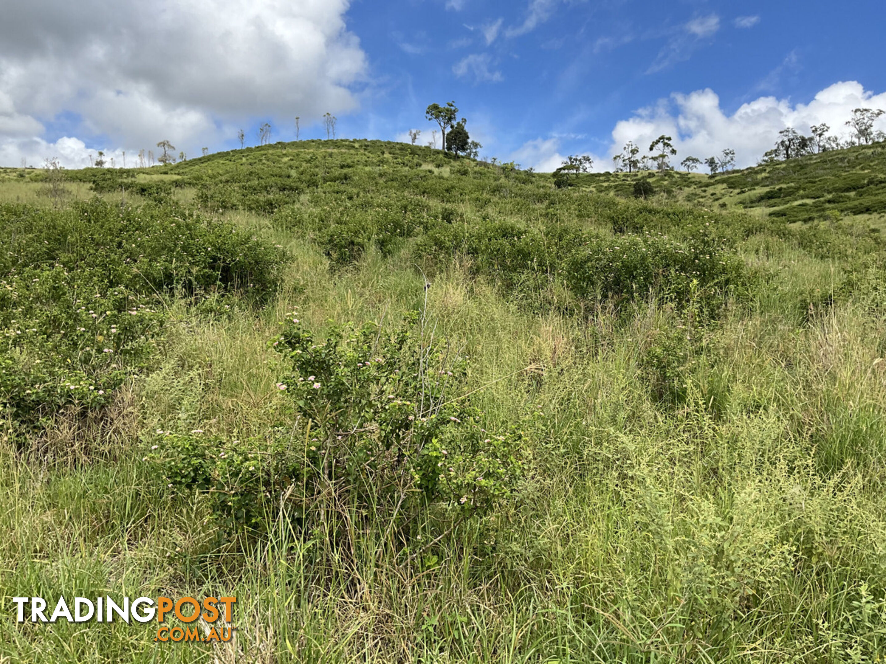 "Paradise" Gatton Clifton Road Mount Whitestone QLD 4347