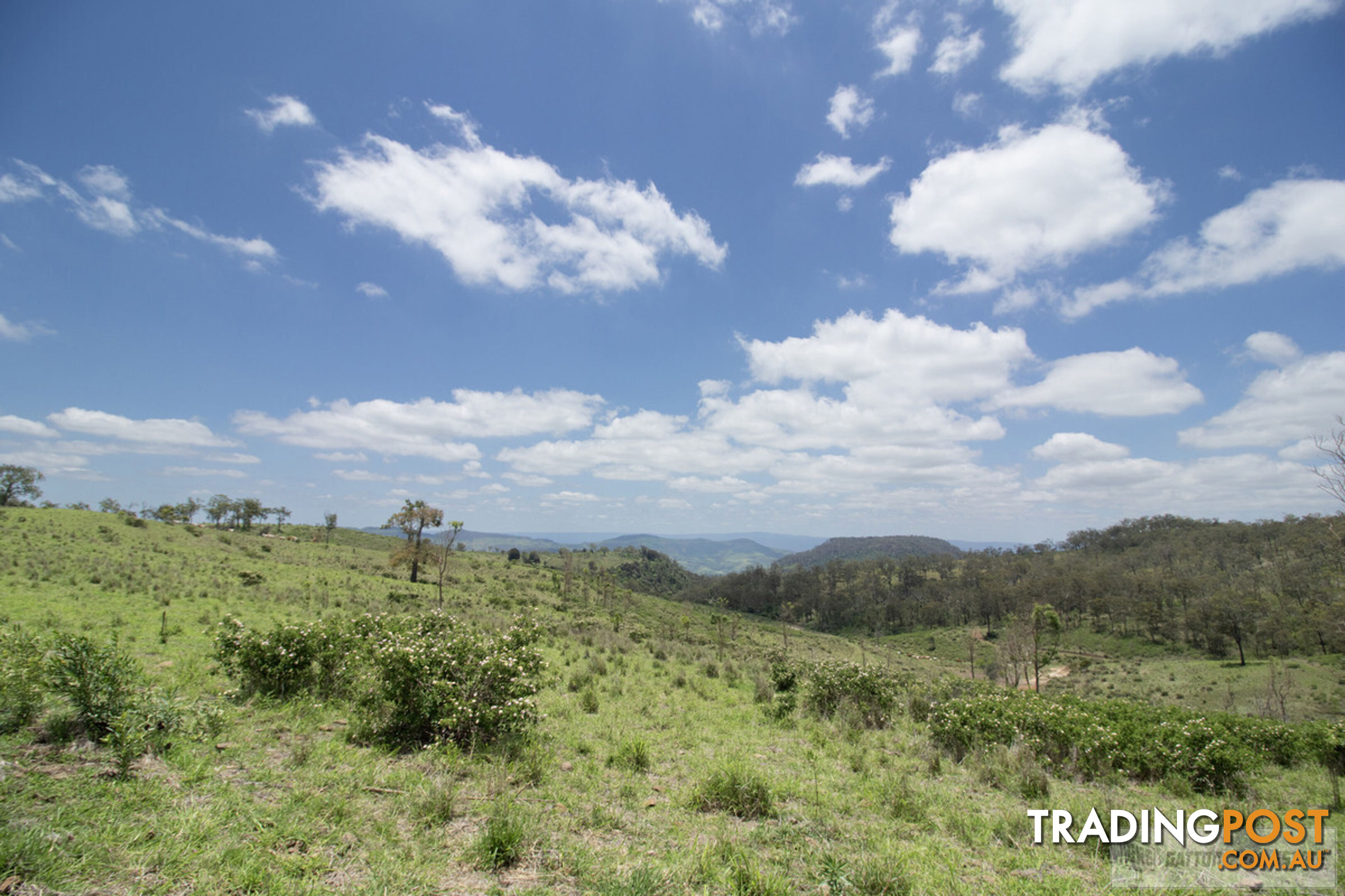 "Paradise" Gatton Clifton Road Mount Whitestone QLD 4347