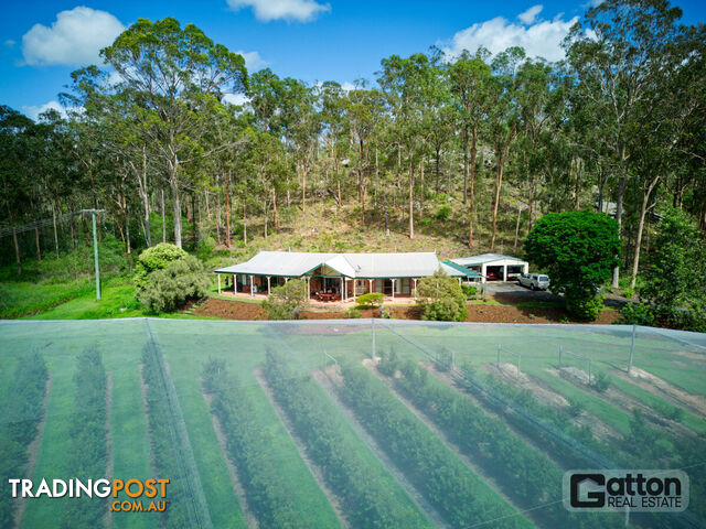 211 Sandy Creek Road Grantham QLD 4347