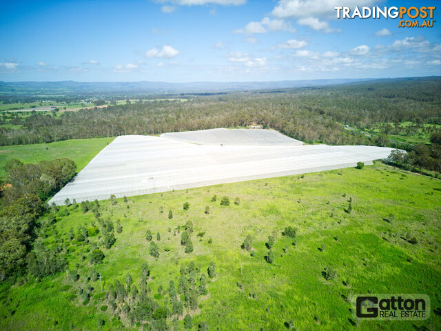 211 Sandy Creek Road Grantham QLD 4347