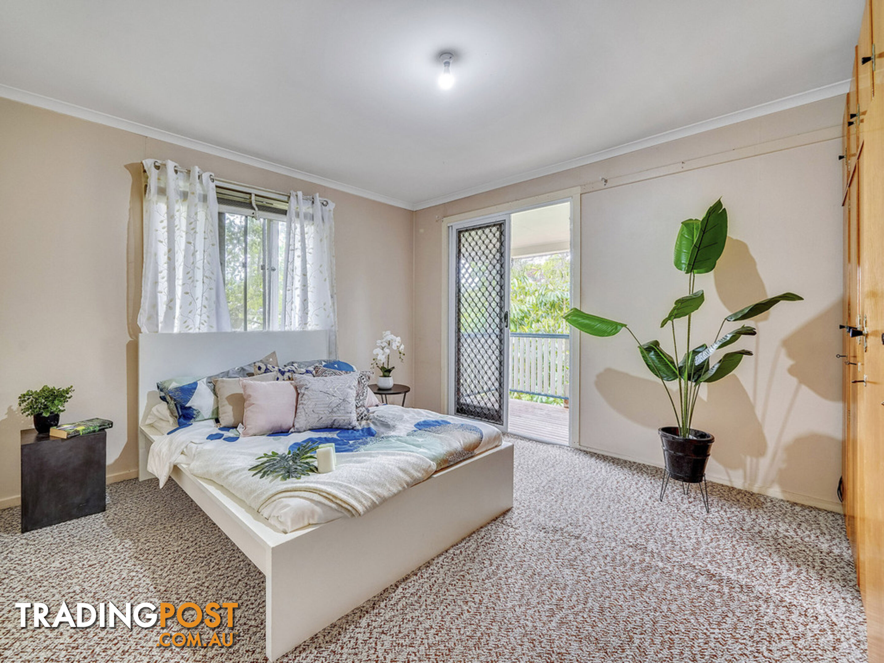 86 Nurstead Street CAMP HILL QLD 4152