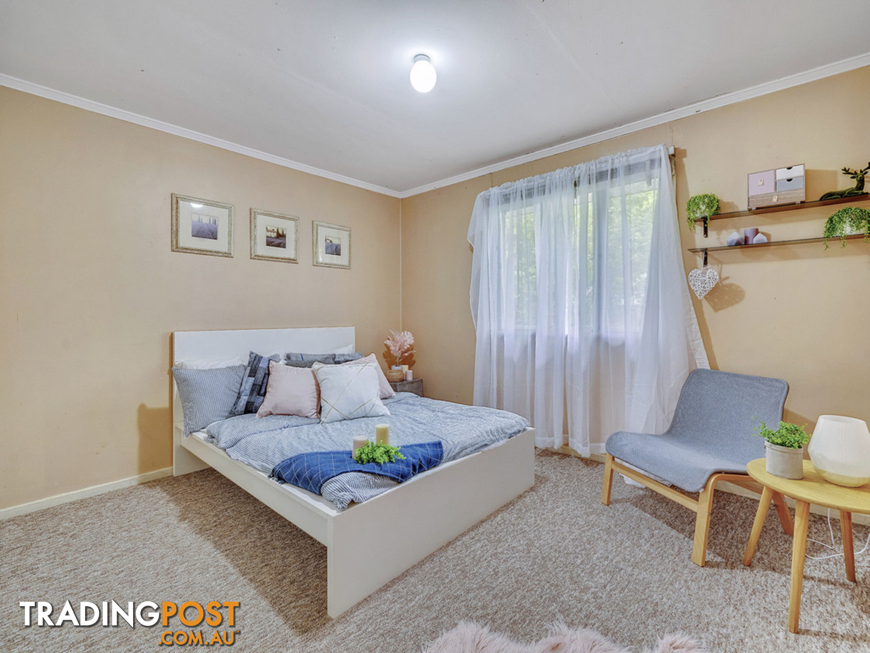 86 Nurstead Street CAMP HILL QLD 4152