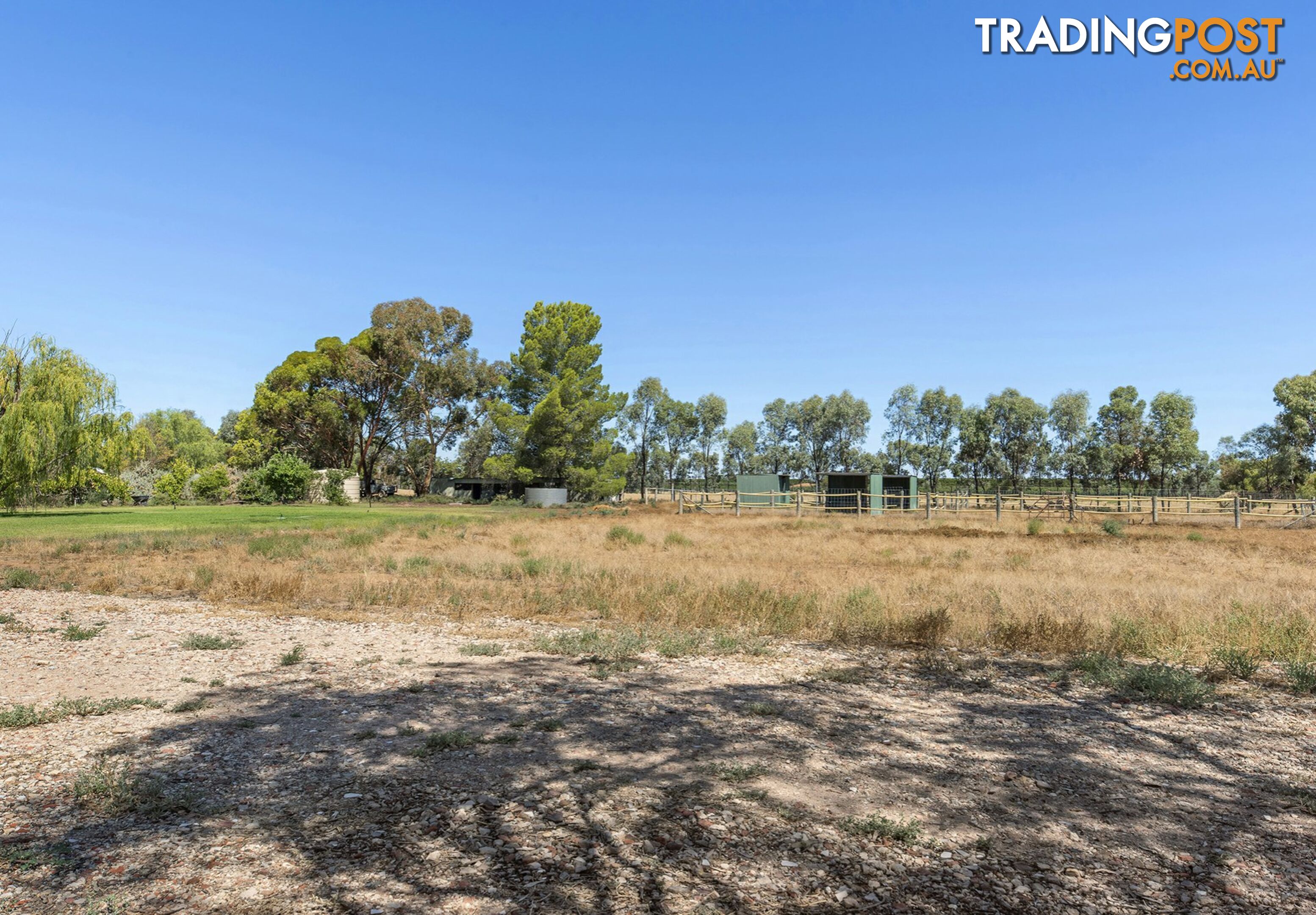 293 Ontario Street RENMARK WEST SA 5341