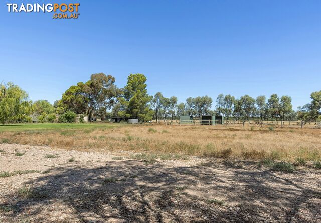 293 Ontario Street RENMARK WEST SA 5341