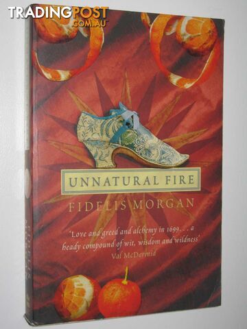 Unnatural Fire - Countess Ashby de la Zouche Mystery - Morgan Fidelis - 2001