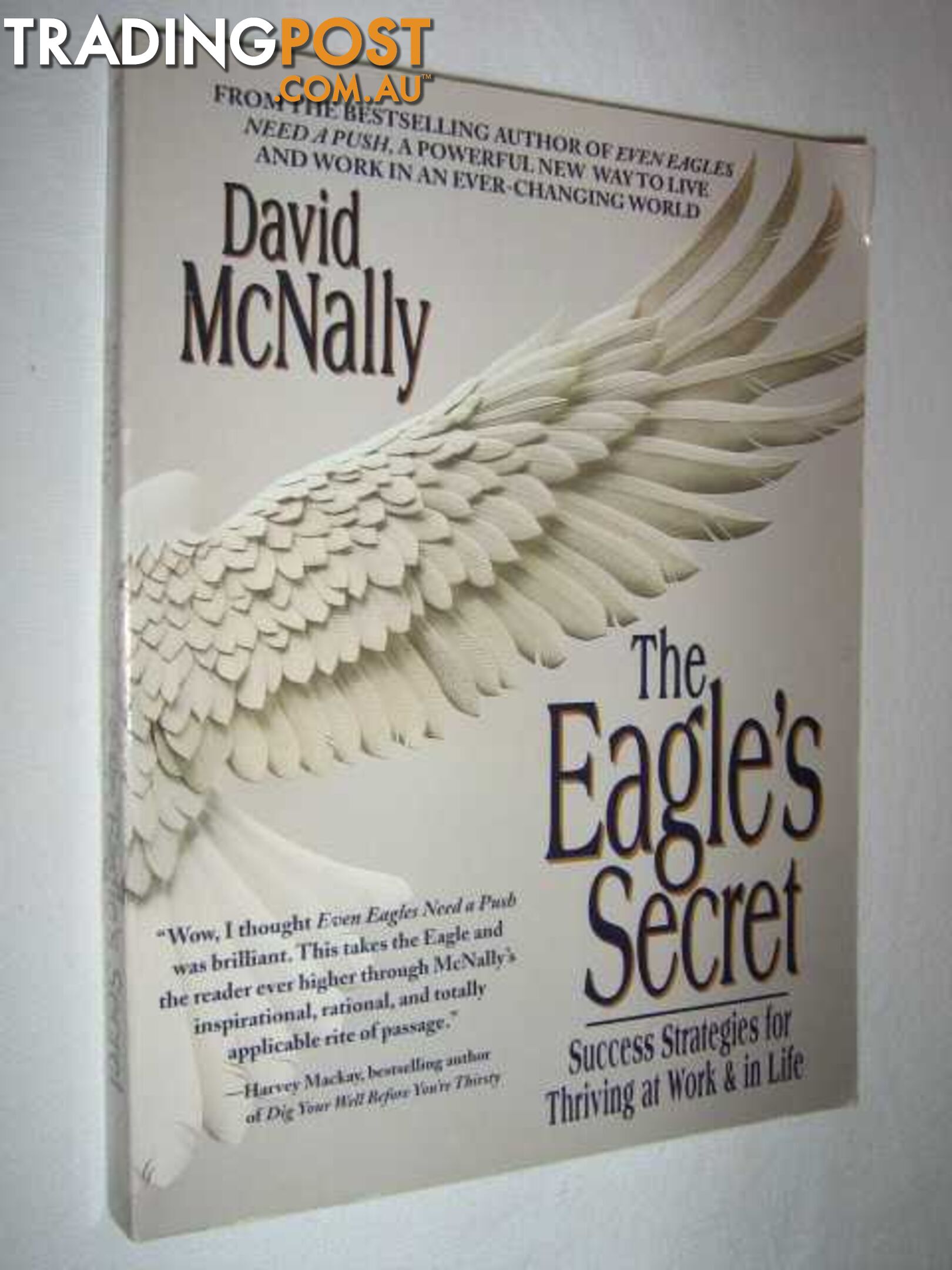 The Eagle's Secret : Success Strategies for Thriving at Work & in Life  - McNally David - 1999