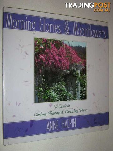 Morning Glories and Moonflowers : A Guide to Climbing, Trailing, and Cascading Plants  - Halpin Anne & Halpin, Anne Moyer - 1996