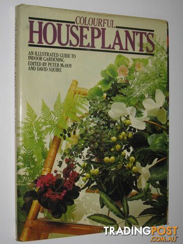 Colourful Houseplants : An Illustrated Guide to Indoor Gardening  - McHoy Peter & Squire, David - 1978