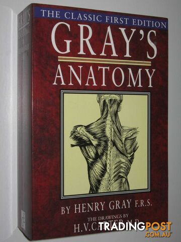 Gray's Anatomy  - Gray Henry - 2003