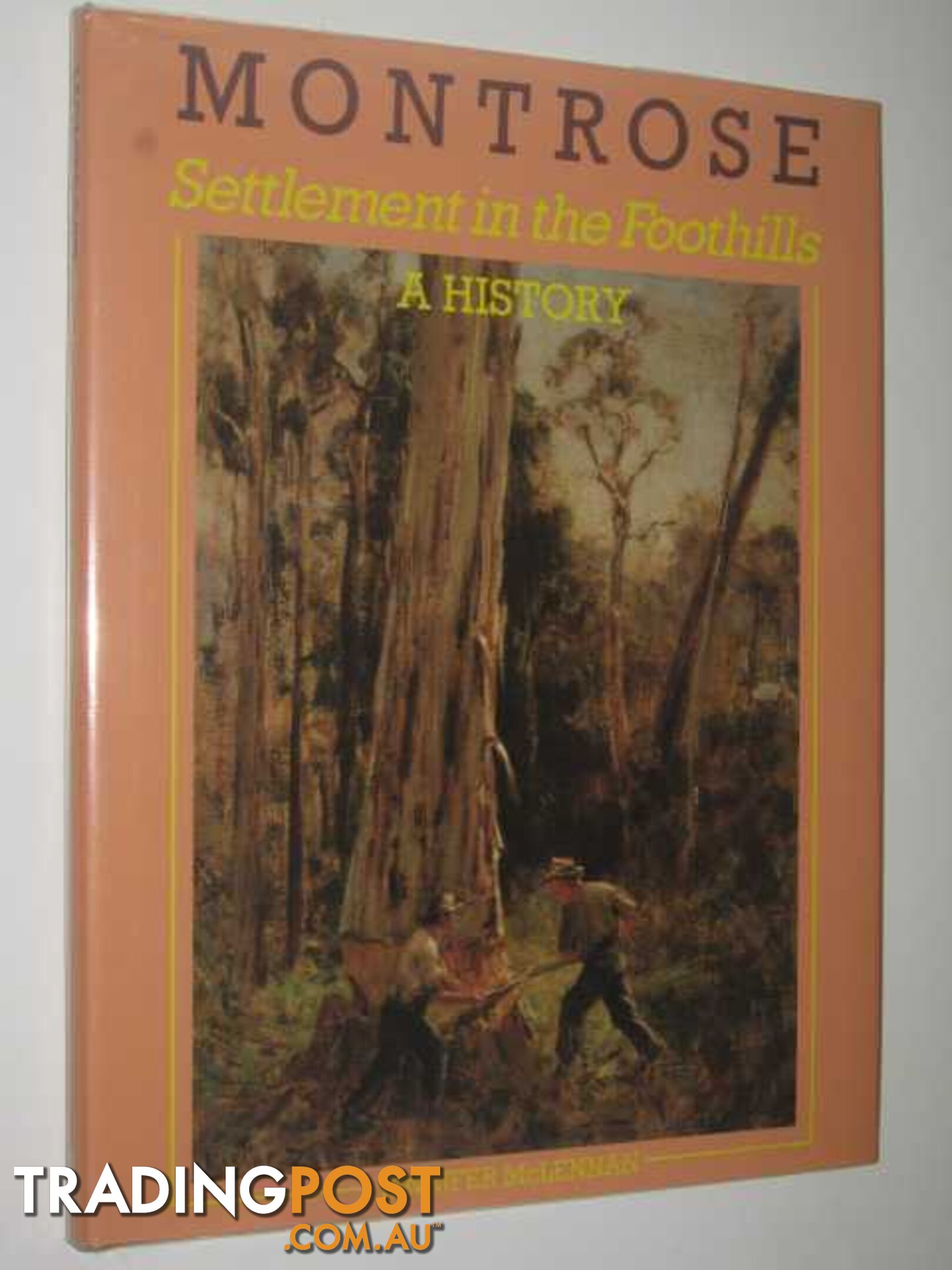 Montrose: Settlement in the Foothills : A History  - McLennan Jennifer - 1987