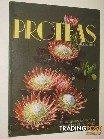 Proteas, Nature's Pride  - Herbarium Compton - No date