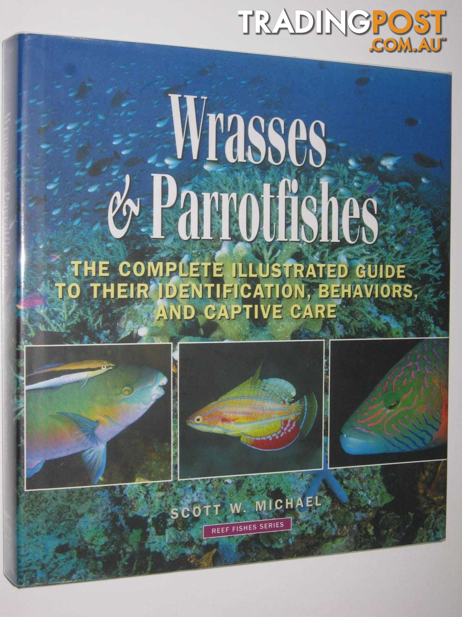 Wrasses and Parrotfishes - Reef Fishes Series #5  - Michael Scott W. - 2008