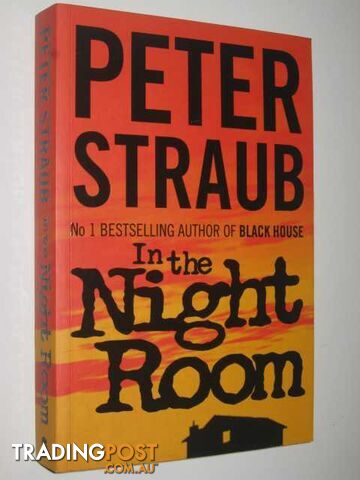 In The Night Room - Straub Peter - 2005