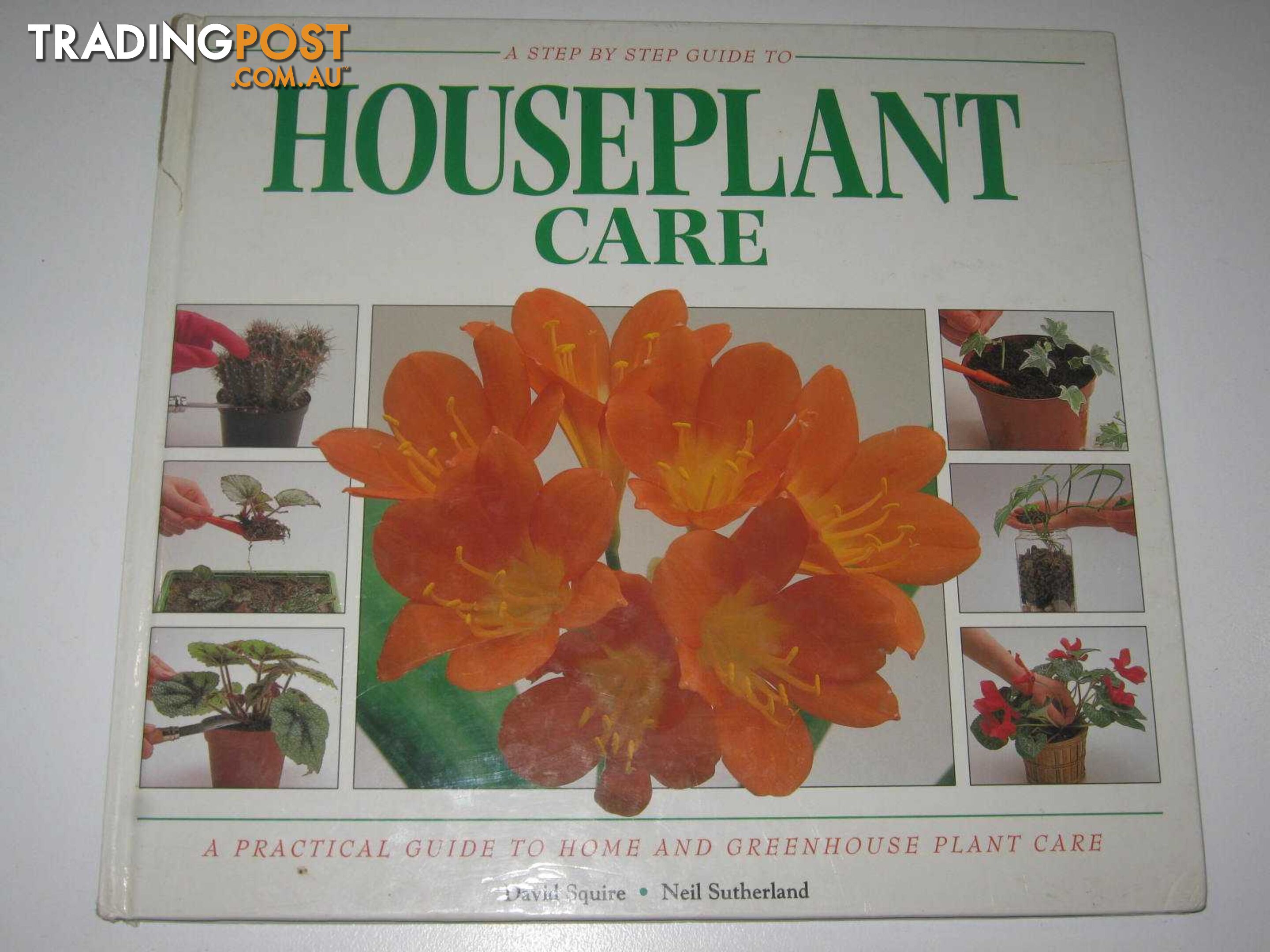 A Step By -Step Guide To Houseplant Care  - Squire David - 1993