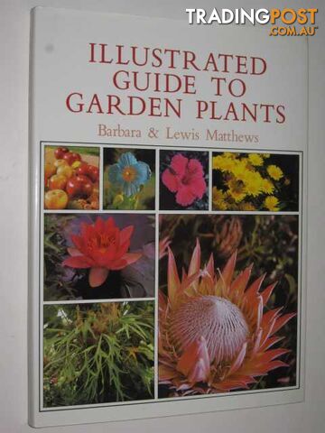 Illustrated Guide To Garden Plants  - Matthews Barbara & Lewis - 1989