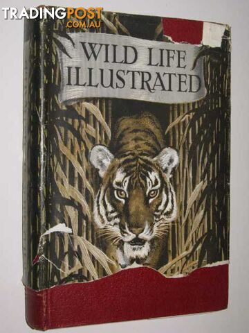 Wild Life Illustrated  - Various Authors