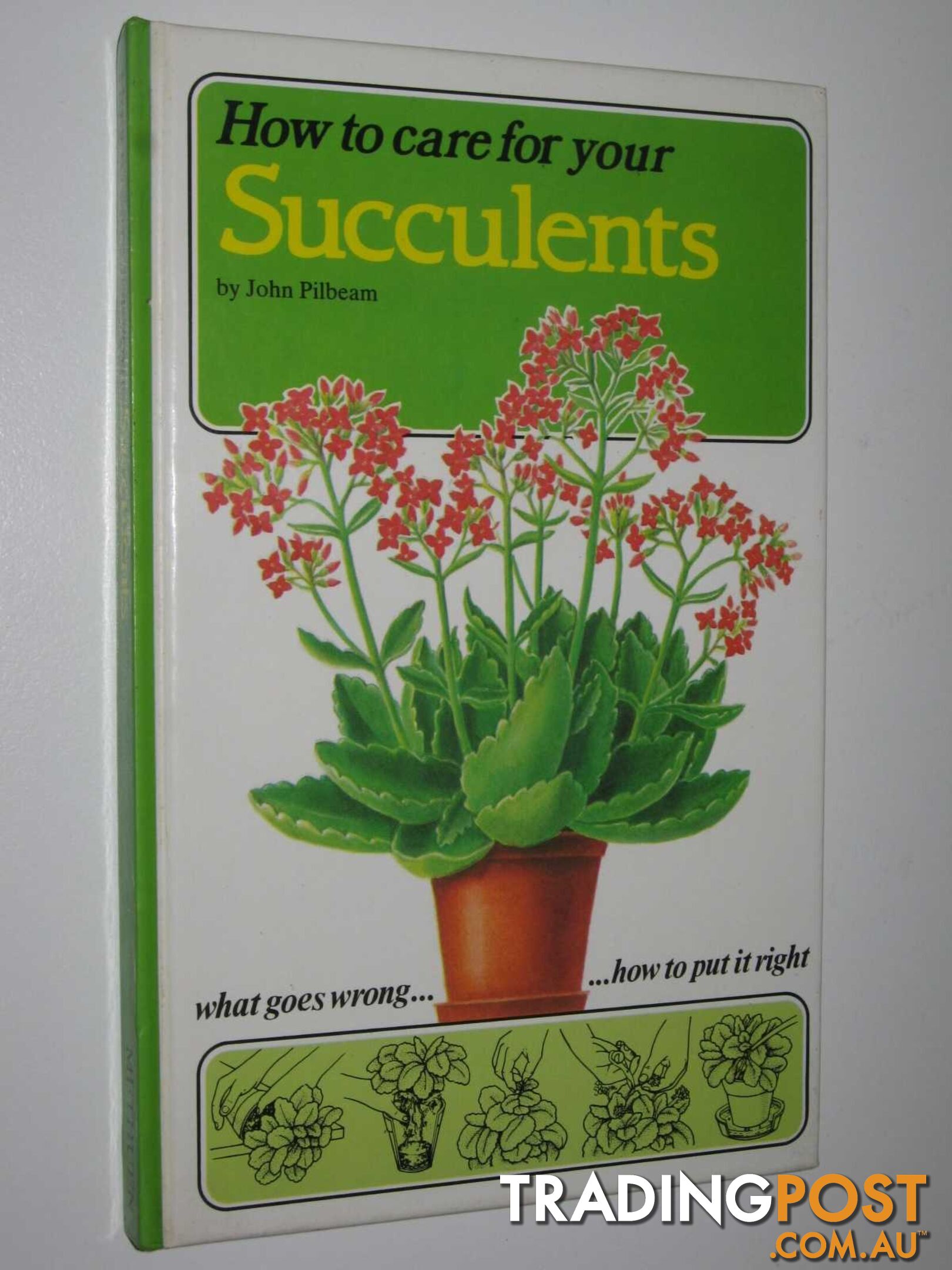 How to Care for Succulents  - Pilbeam John - 1984