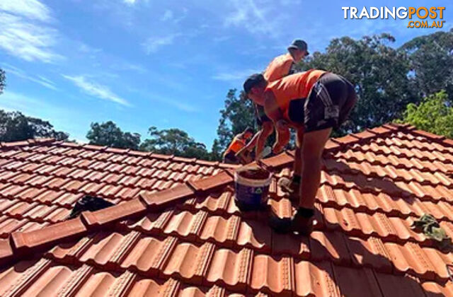 Roofing Repair & Restoration, The Entrance North, NSW