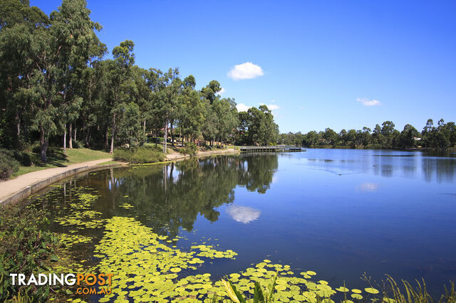 29 Montego Way FOREST LAKE QLD 4078