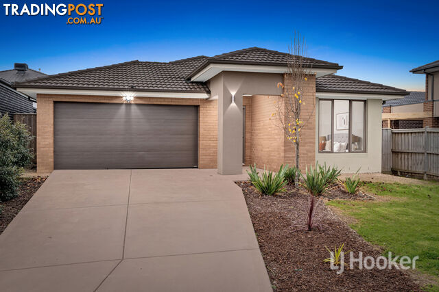 14 Beryl Crescent GREENVALE VIC 3059