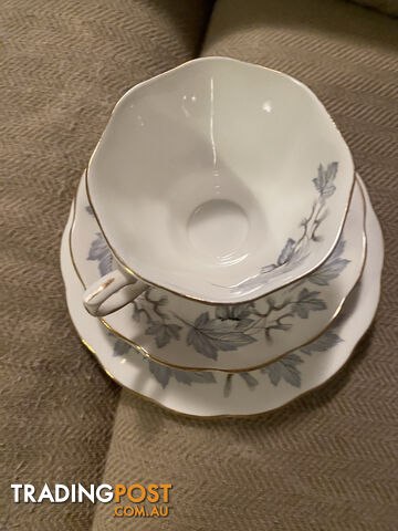 circa 1950 royal albert silver maple cup, saucer and plate