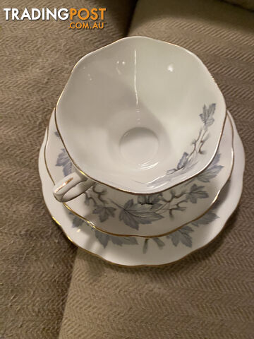 circa 1950 royal albert silver maple cup, saucer and plate