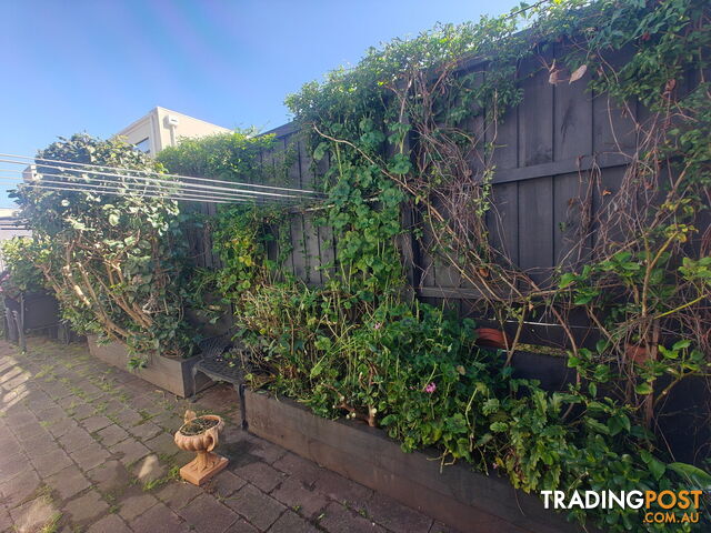 All Tree - Pros - Trimming and Removal