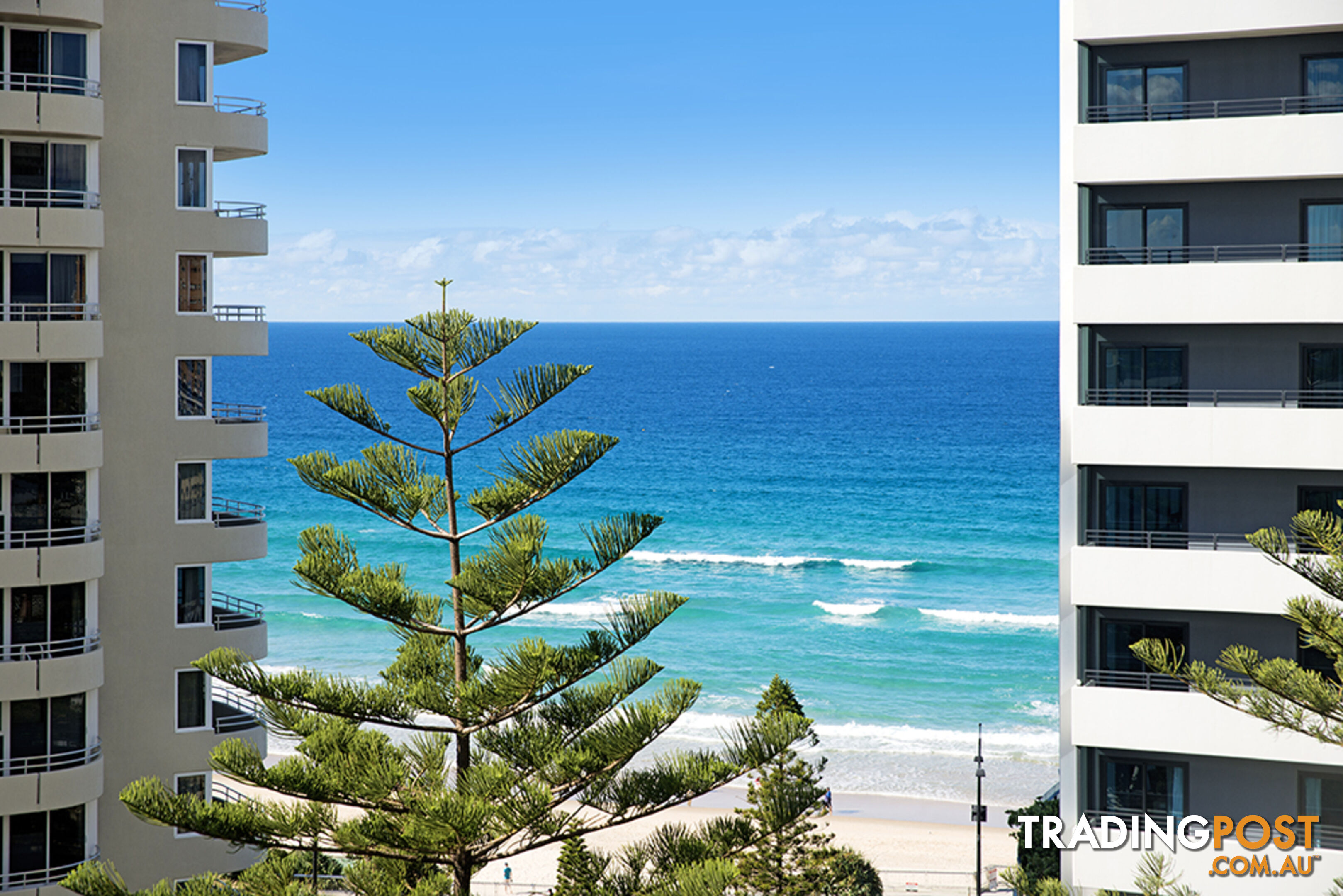 1103/3 Orchid Avenue SURFERS PARADISE QLD 4217