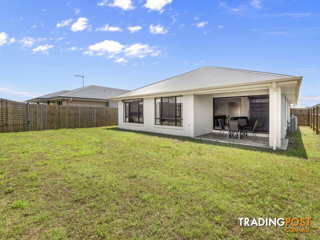 12 Newton Street CABOOLTURE SOUTH QLD 4510