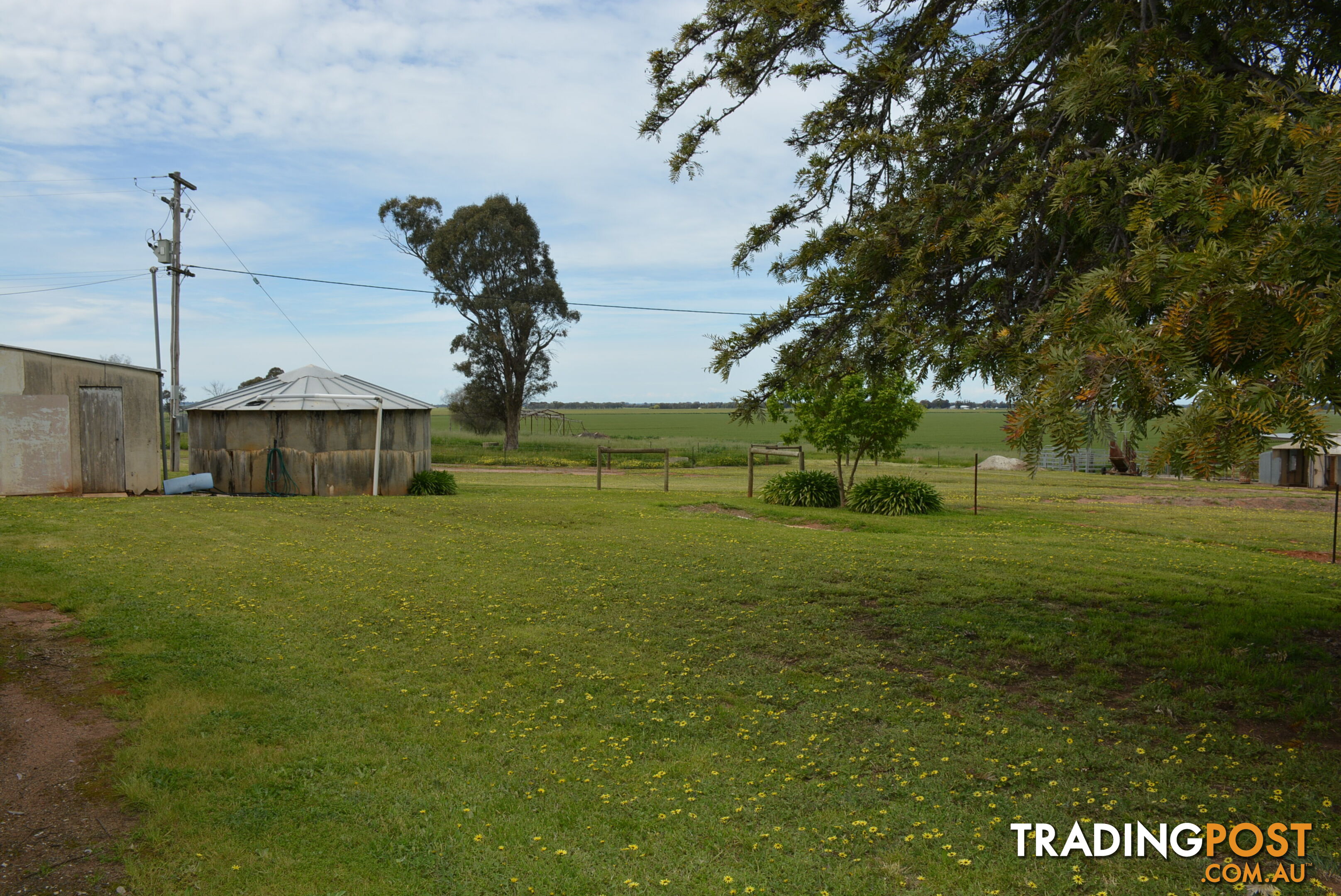 638 Coldwells Rd Barooga NSW 3644