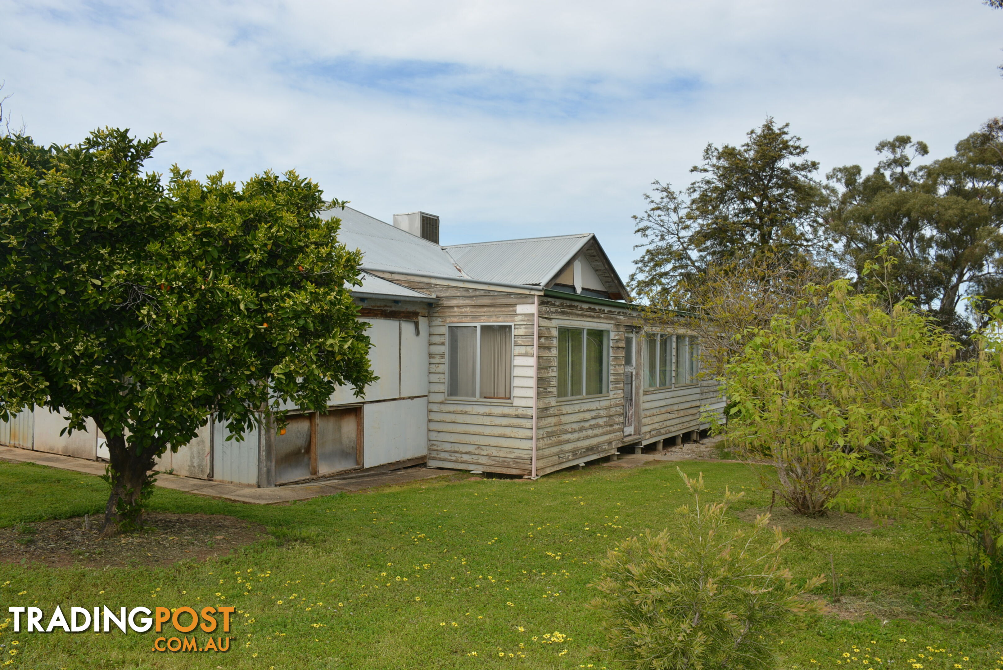 638 Coldwells Rd Barooga NSW 3644