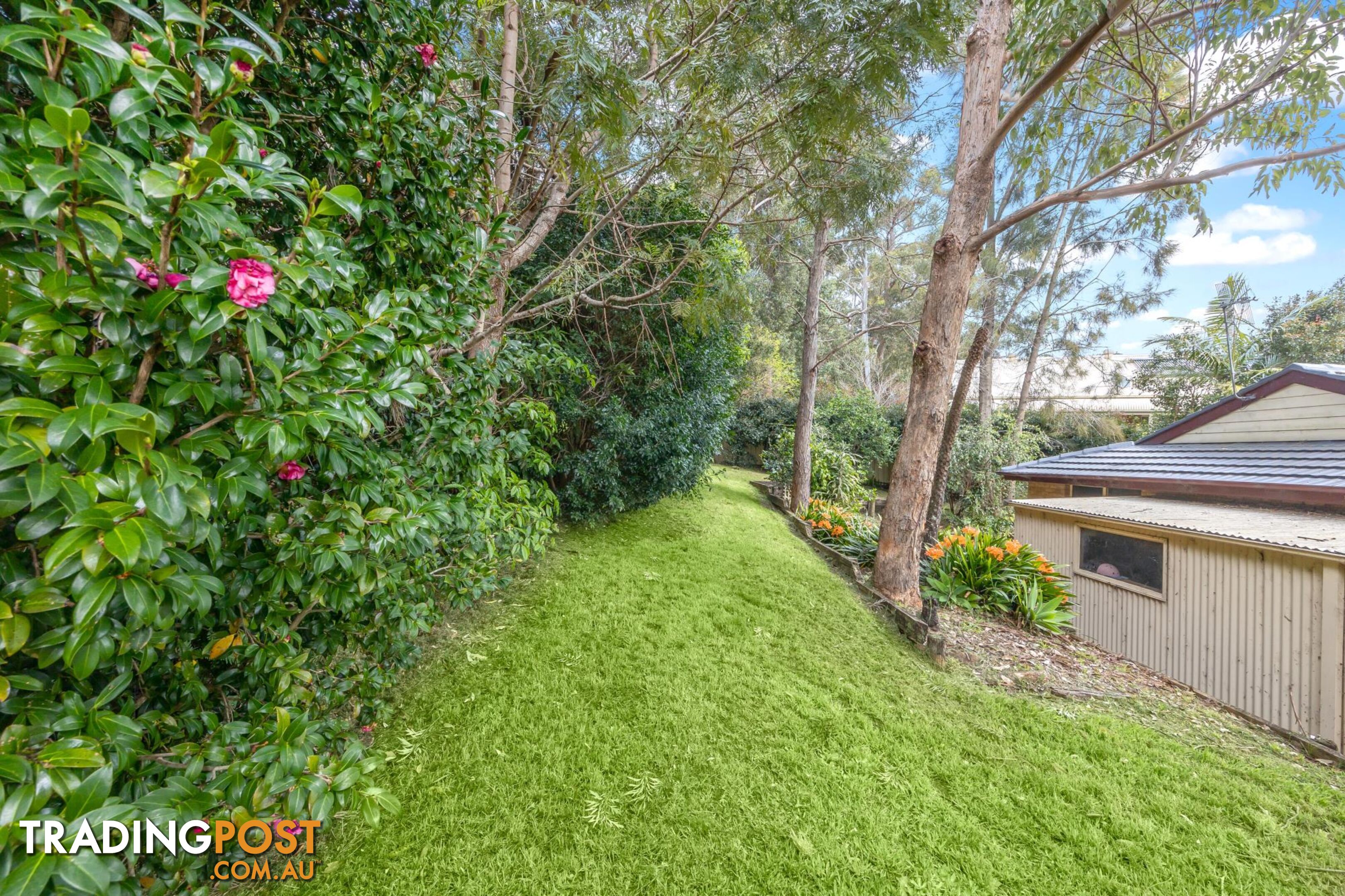 12 Molloy Street MOLLYMOOK NSW 2539